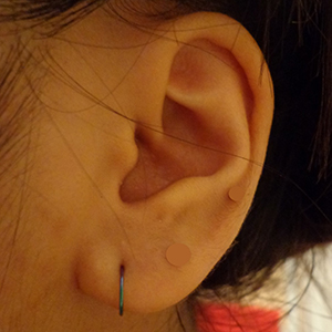 Niobium Hoop Earring Customer Photo